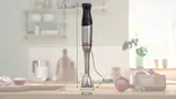 Погружной блендер Bosch ErgoMaster Serie 6, нержавеющая сталь, 1200 Вт