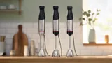 Погружной блендер Bosch ErgoMaster Serie 6, нержавеющая сталь, 1200 Вт
