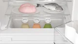 Встраиваемый холодильник Bosch KUR21VFE0